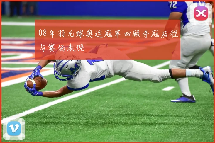 08年羽毛球奥运冠军回顾夺冠历程与赛场表现