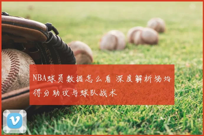 NBA球员数据怎么看 深度解析场均得分助攻与球队战术